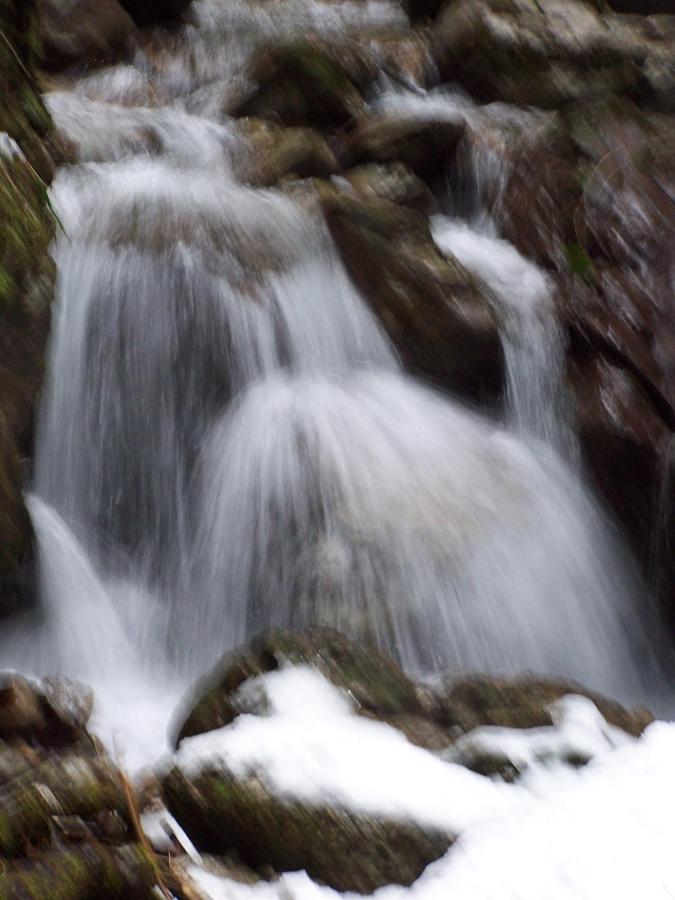 B&B Ai Pini Tiarno di Sopra ภายนอก รูปภาพ