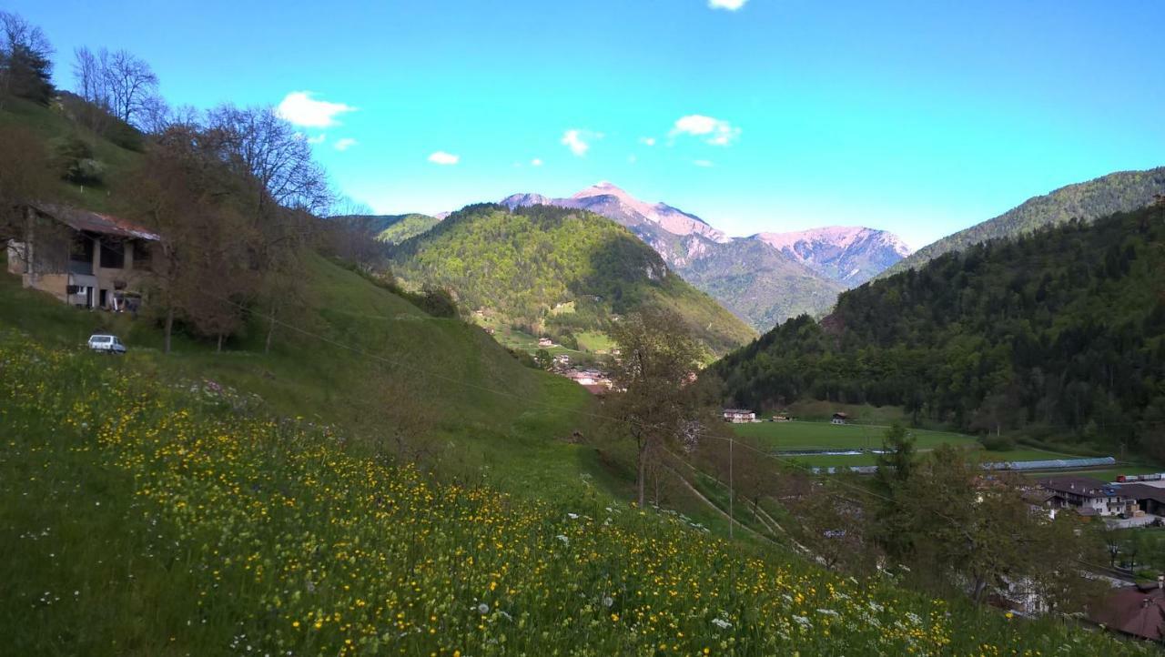 B&B Ai Pini Tiarno di Sopra ภายนอก รูปภาพ